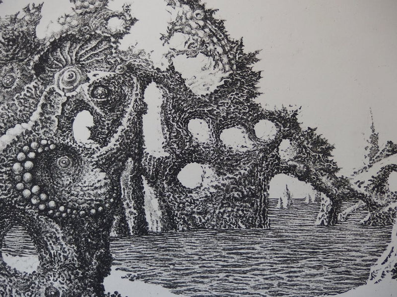 Jacques HOUPLAIN : Rivages de non-retour - art (détail)