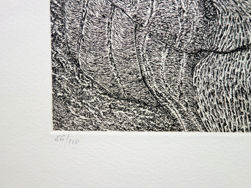 Jacques HOUPLAIN : Calanques à Cassis - Gravure (détail)