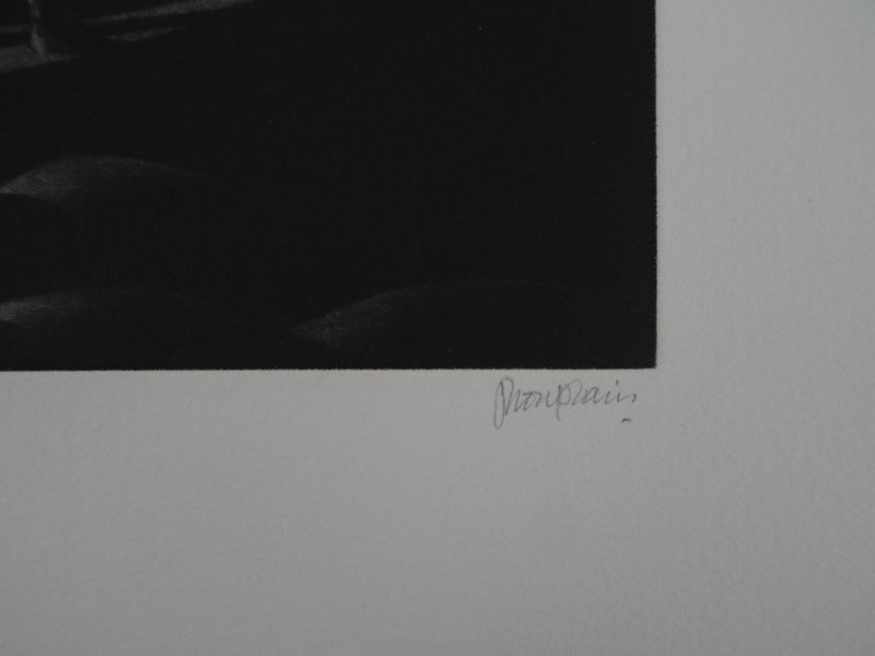 Jacques HOUPLAIN : La sortie du Nour - Gravure (détail)