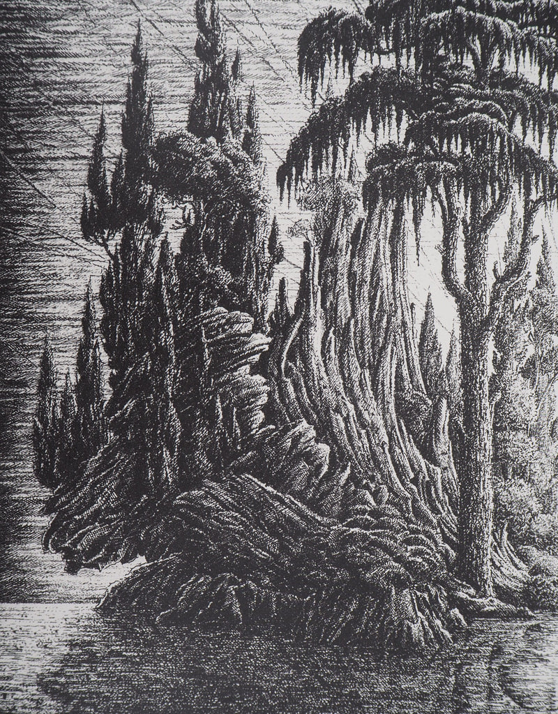 François HOUTIN : Île de l&