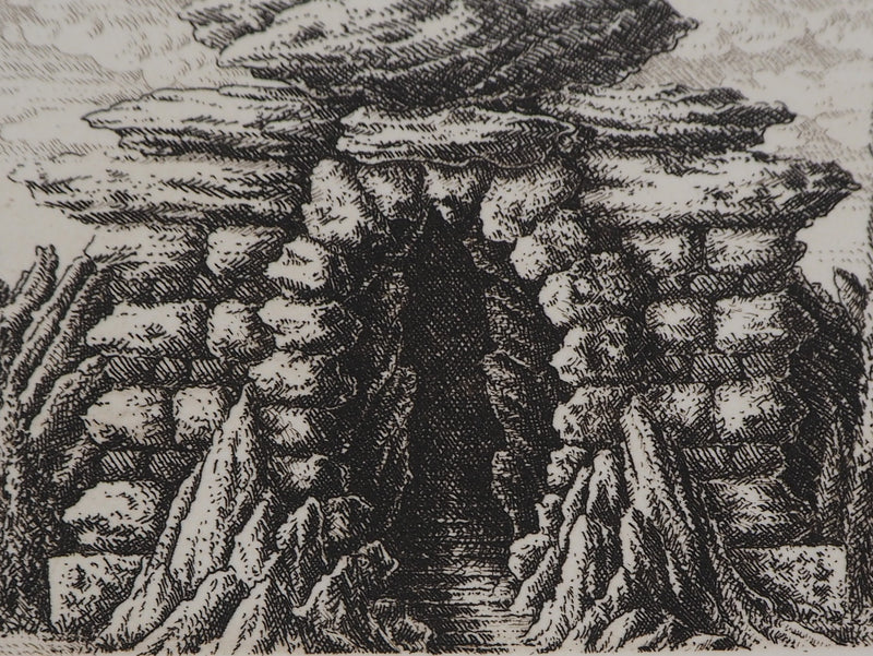 François HOUTIN : 19ème nymphée - Gravure (détail)