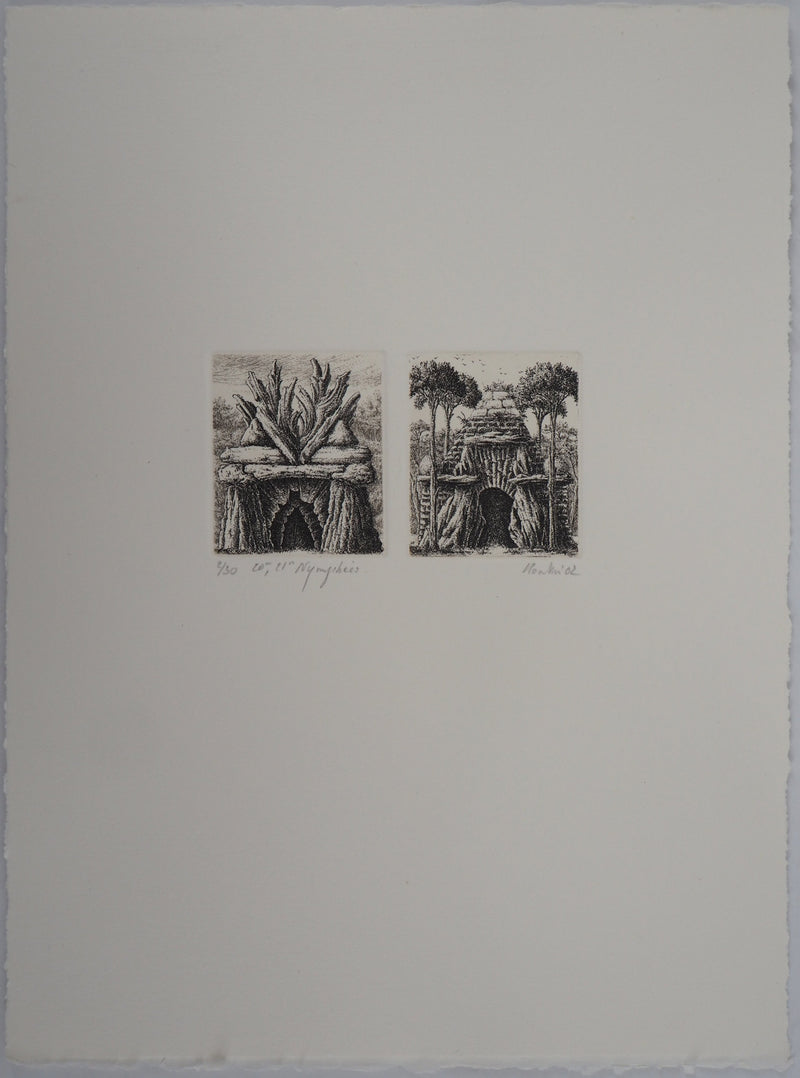 François HOUTIN : 20e et 21ème nymphées - Gravure (détail)