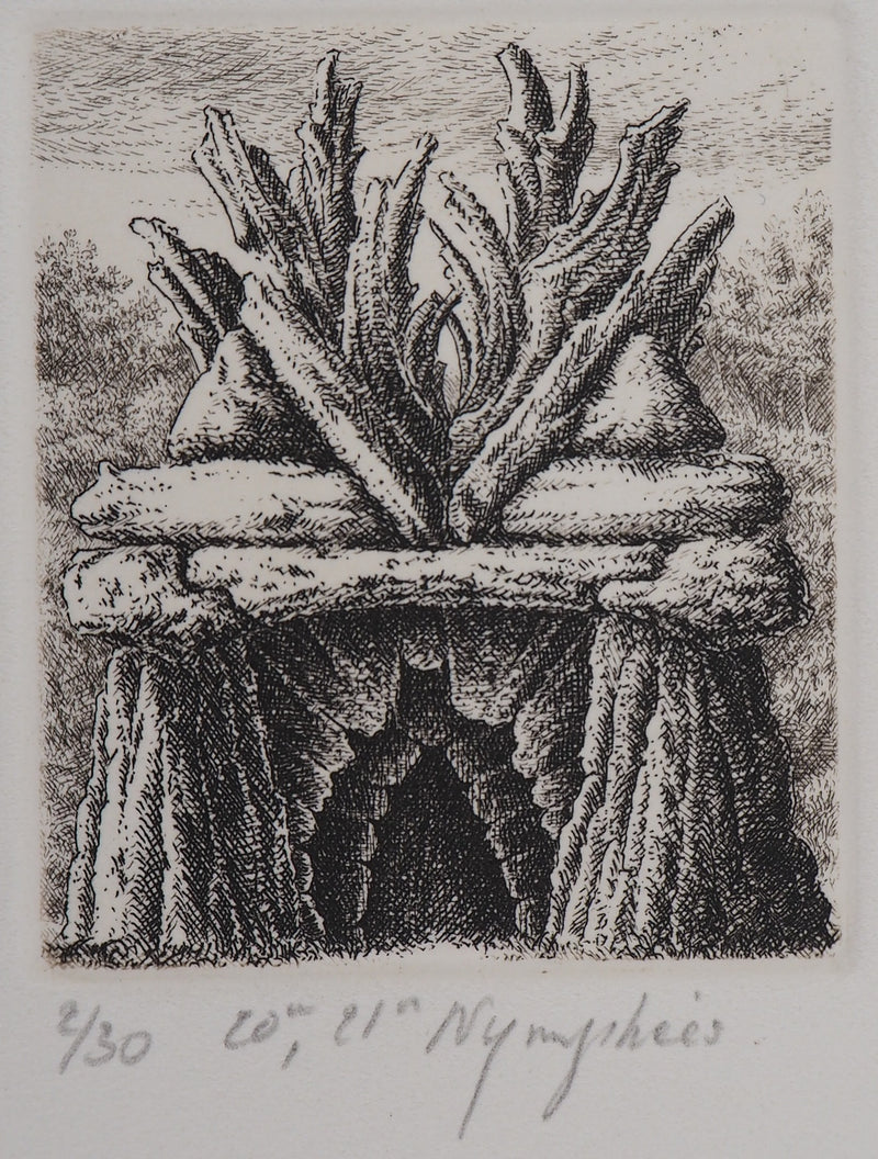 François HOUTIN : 20e et 21ème nymphées - Gravure (détail)