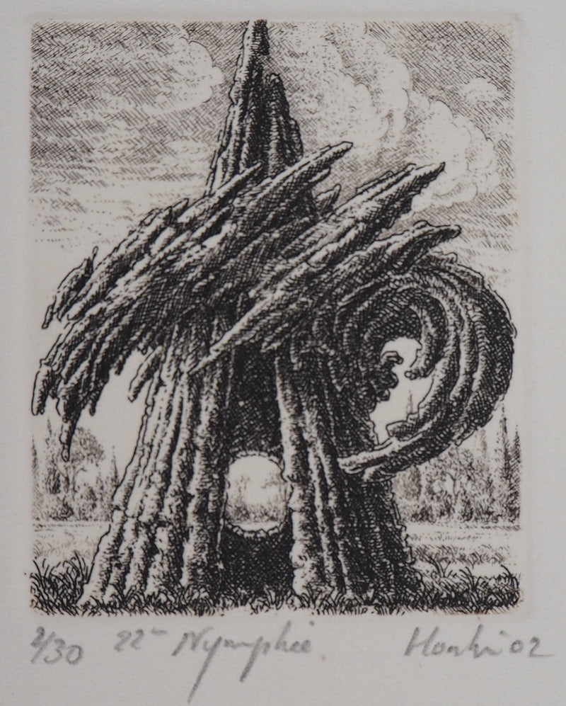 François HOUTIN : 22ème nymphée - Gravure