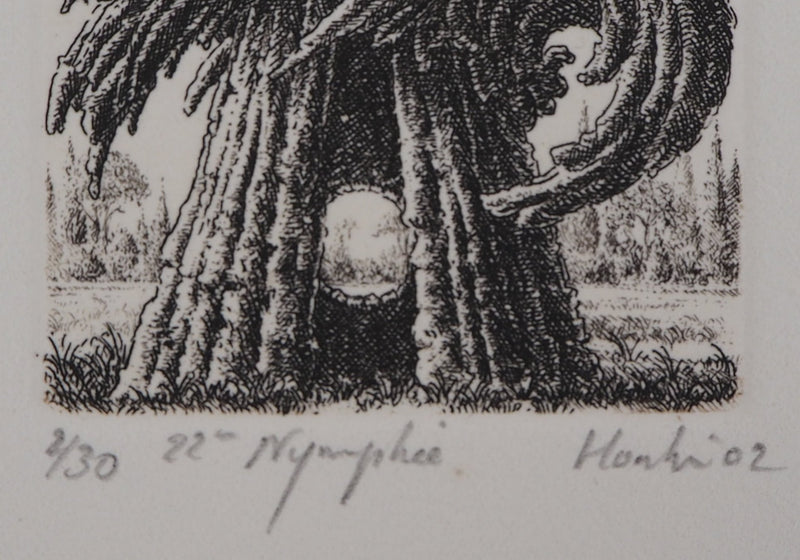 François HOUTIN : 22ème nymphée - Gravure (détail)