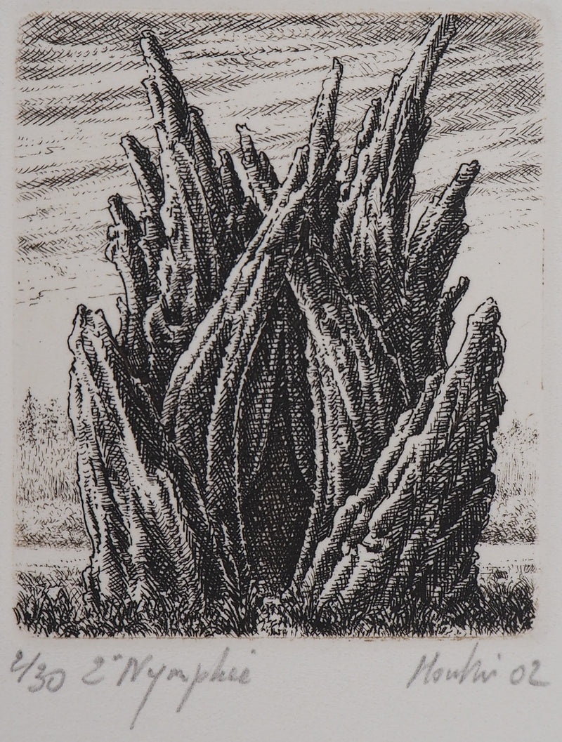 François HOUTIN : 2ème nymphée - Gravure