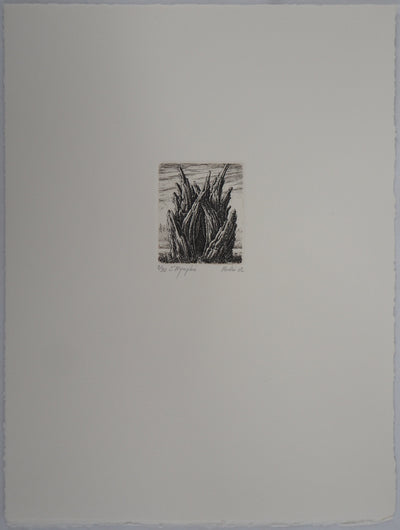 François HOUTIN : 2ème nymphée - Gravure (détail)