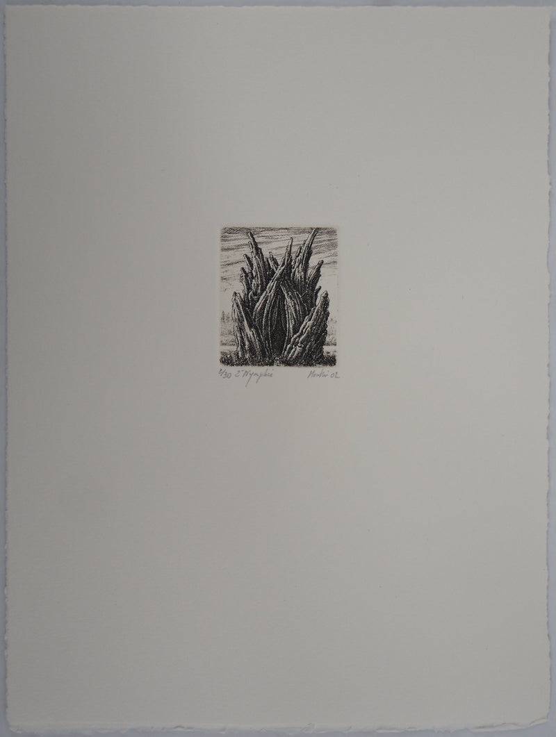 François HOUTIN : 2ème nymphée - Gravure (détail)