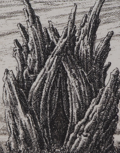 François HOUTIN : 2ème nymphée - Gravure (détail)