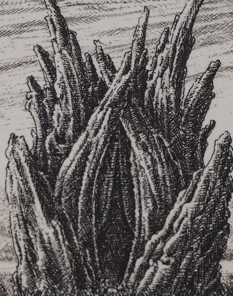 François HOUTIN : 2ème nymphée - Gravure (détail)