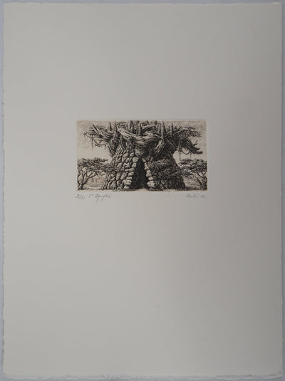 François HOUTIN : 5ème nymphée - Gravure (détail)