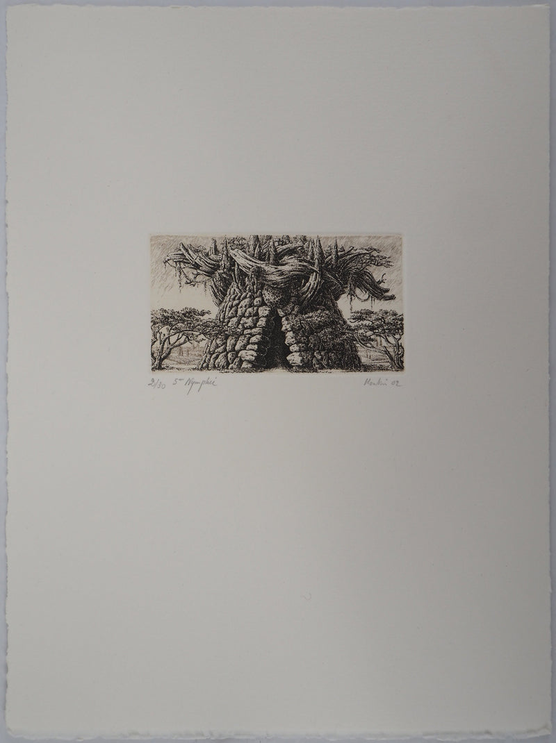 François HOUTIN : 5ème nymphée - Gravure (détail)
