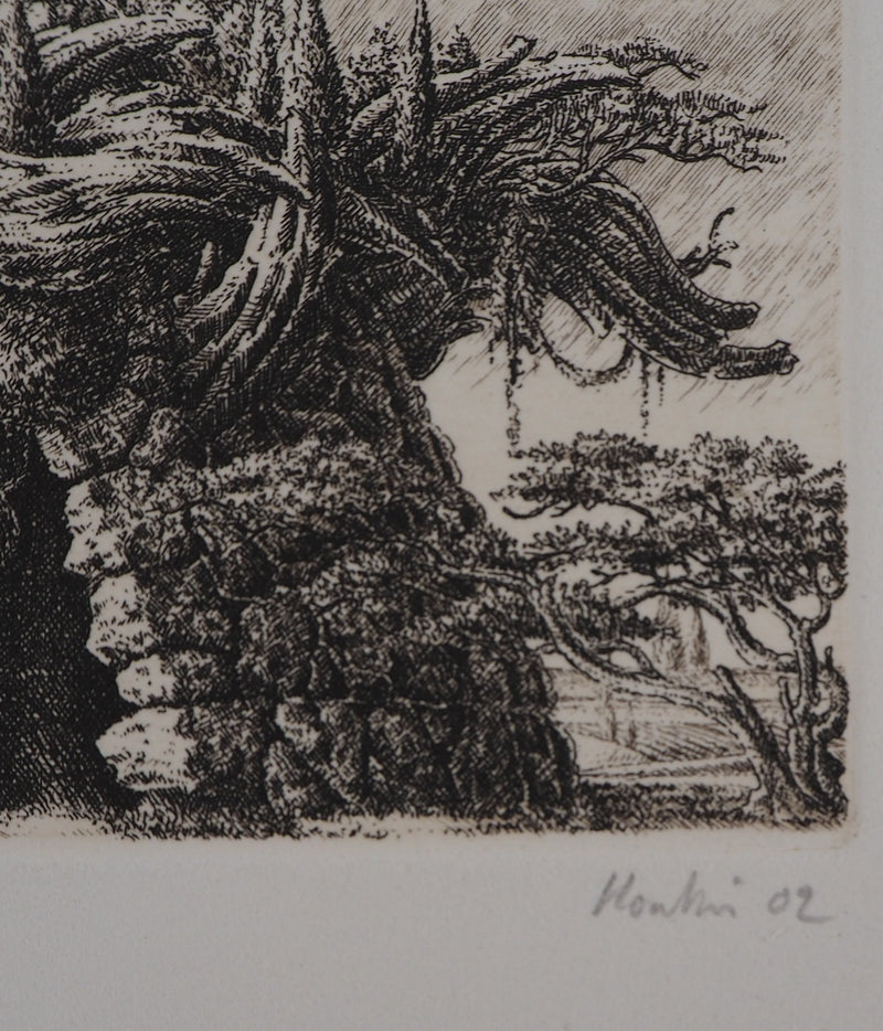 François HOUTIN : 5ème nymphée - Gravure (détail)