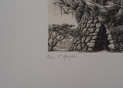 François HOUTIN : 5ème nymphée - Gravure (détail)