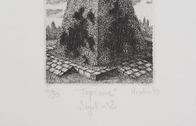 François HOUTIN : Le buisson, 1979 - Gravure (détail)