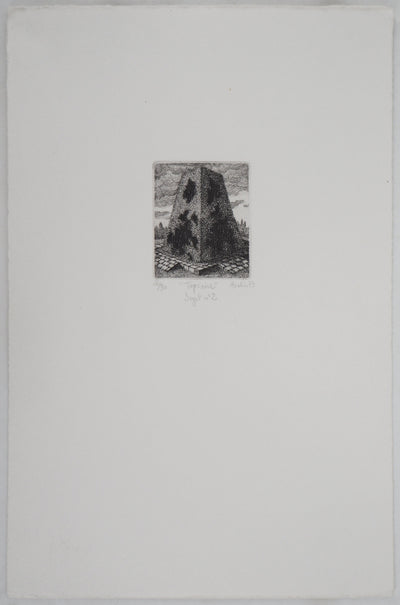 François HOUTIN : Le buisson, 1979 - Gravure (détail)