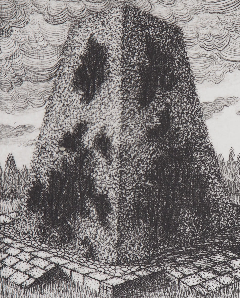 François HOUTIN : Le buisson, 1979 - Gravure (détail)