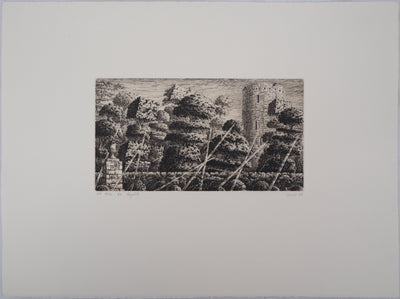 François HOUTIN : En conquête, 2002 - Gravure (détail)
