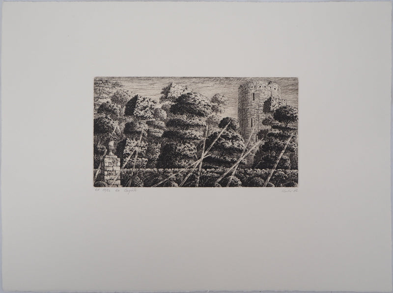 François HOUTIN : En conquête, 2002 - Gravure (détail)