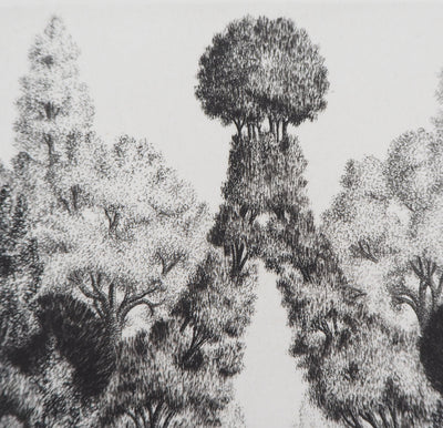 François HOUTIN : Entrée Nord du jardin des délices, 1979 - Gravure (détail)