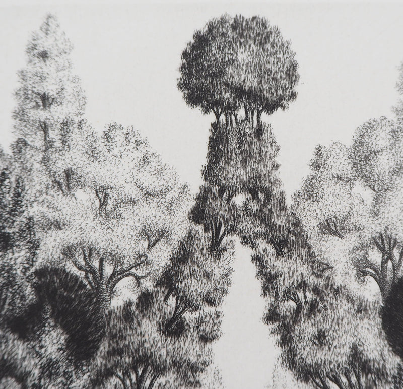 François HOUTIN : Entrée Nord du jardin des délices, 1979 - Gravure (détail)