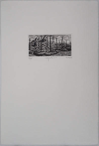 François HOUTIN : Labyrinthe n°2, 1979 - Gravure (détail)