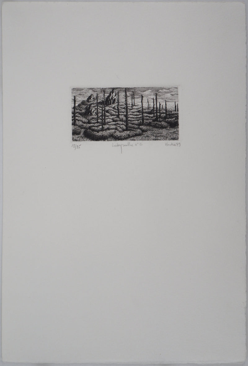 François HOUTIN : Labyrinthe n°2, 1979 - Gravure (détail)