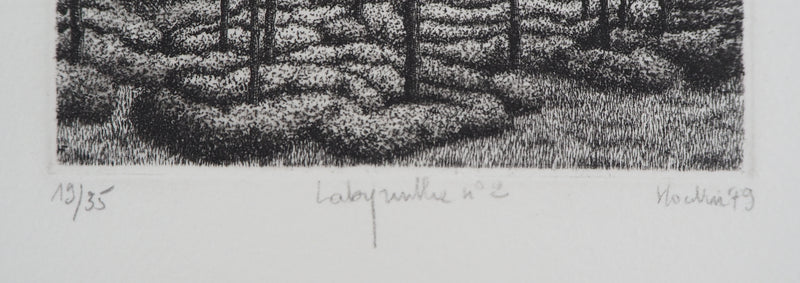 François HOUTIN : Labyrinthe n°2, 1979 - Gravure (détail)
