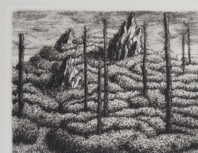 François HOUTIN : Labyrinthe n°2, 1979 - Gravure (détail)