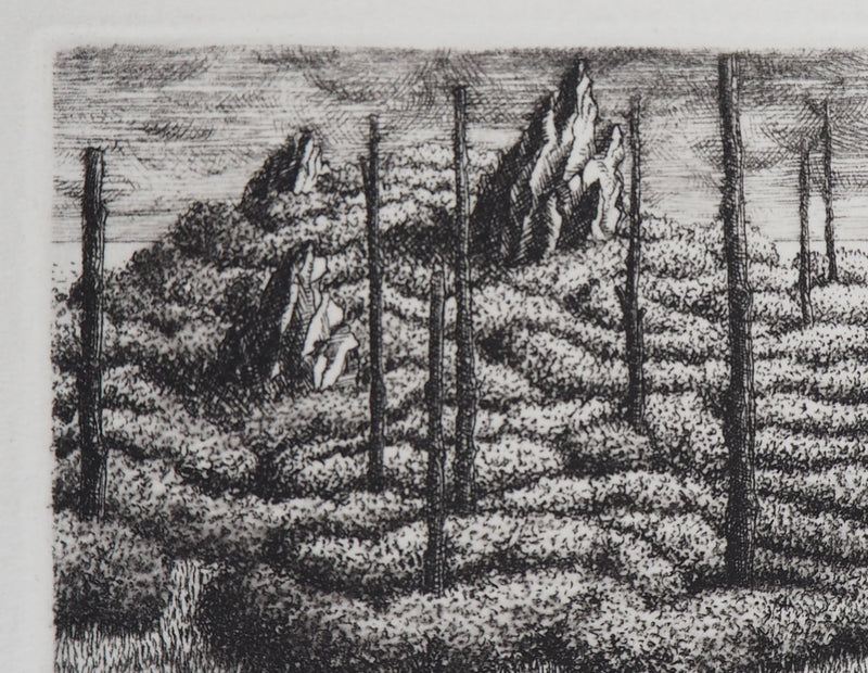 François HOUTIN : Labyrinthe n°2, 1979 - Gravure (détail)