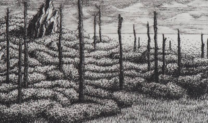 François HOUTIN : Labyrinthe n°2, 1979 - Gravure (détail)