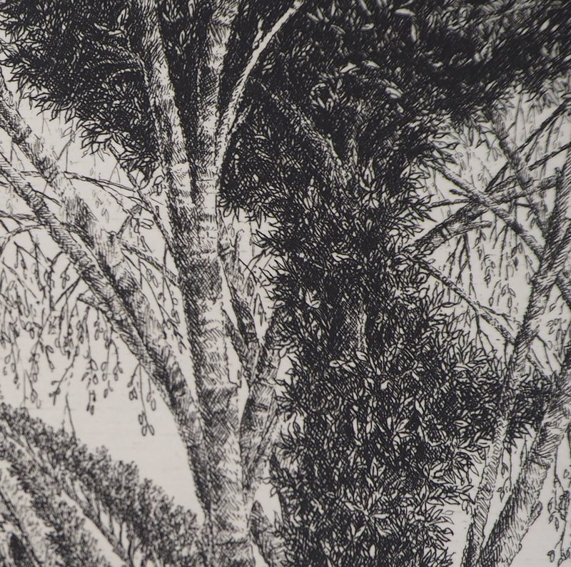 François HOUTIN : Nouvelle échappée, 1994 - Gravure (détail)