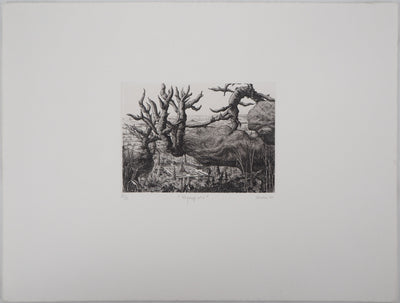 François HOUTIN : Paysage n°1, 1981 - Gravure (détail)