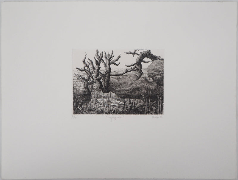 François HOUTIN : Paysage n°1, 1981 - Gravure (détail)