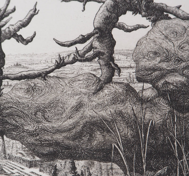François HOUTIN : Paysage n°1, 1981 - Gravure (détail)