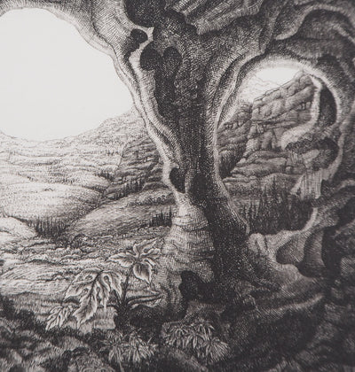 François HOUTIN : Paysage n°2, 1981 - Gravure (détail)