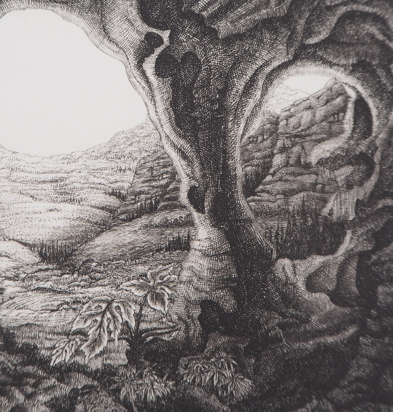 François HOUTIN : Paysage n°2, 1981 - Gravure (détail)