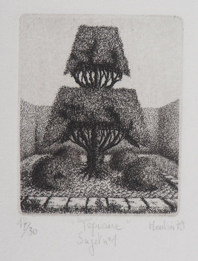 François HOUTIN : Topicure (Sujet n°1), 1979 - Gravure