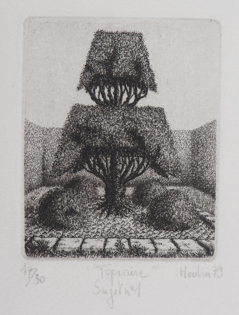François HOUTIN : Topicure (Sujet n°1), 1979 - Gravure
