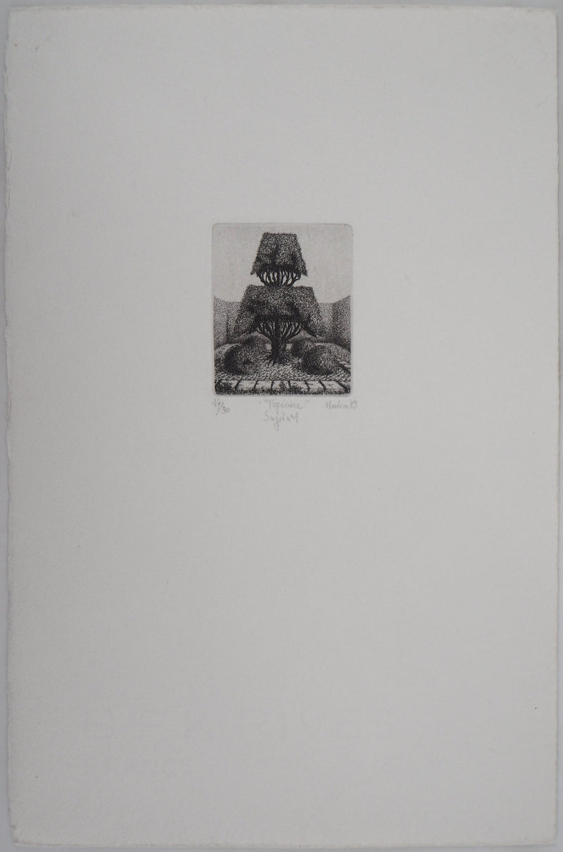 François HOUTIN : Topicure (Sujet n°1), 1979 - Gravure (détail)