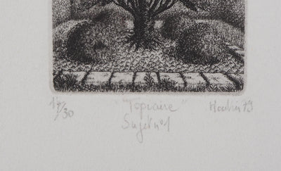 François HOUTIN : Topicure (Sujet n°1), 1979 - Gravure (détail)