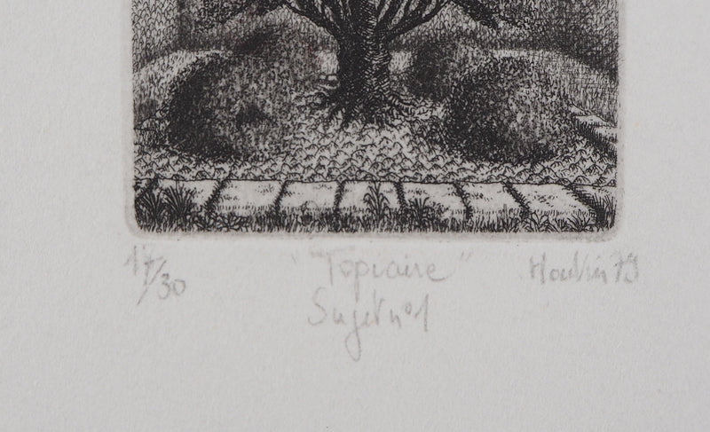 François HOUTIN : Topicure (Sujet n°1), 1979 - Gravure (détail)