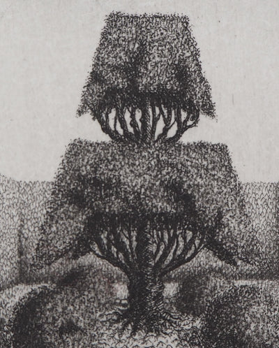 François HOUTIN : Topicure (Sujet n°1), 1979 - Gravure (détail)