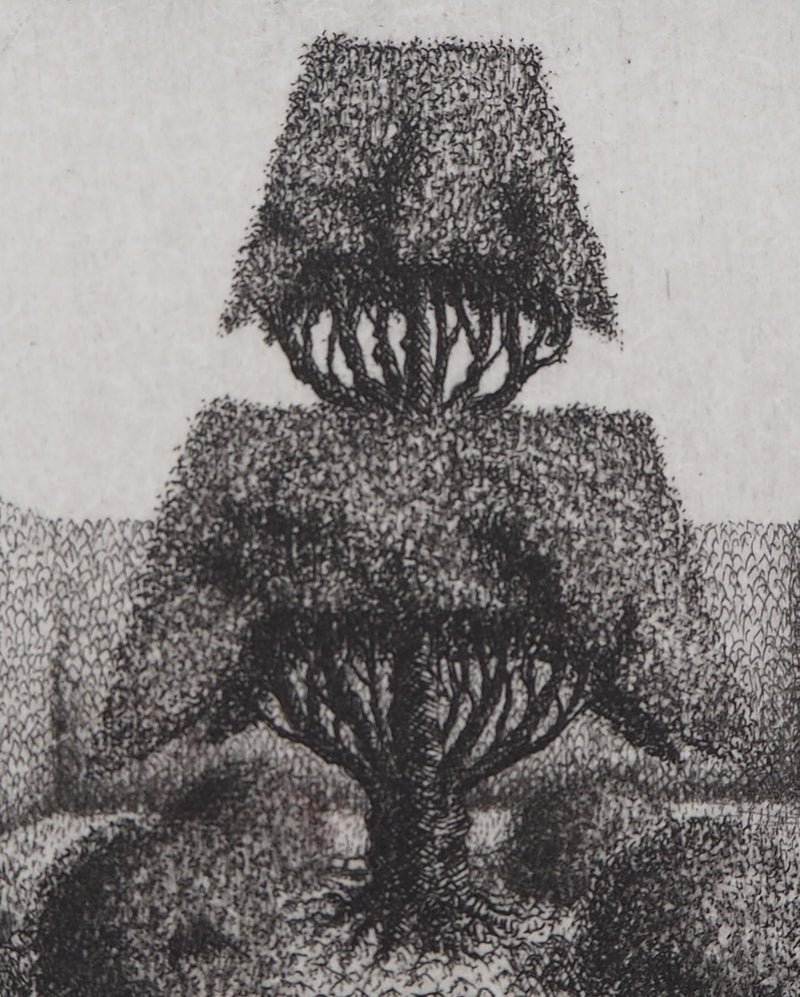 François HOUTIN : Topicure (Sujet n°1), 1979 - Gravure (détail)