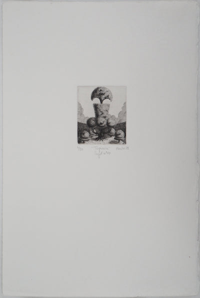 François HOUTIN : Topicure n°10, 1979 - Gravure (détail)