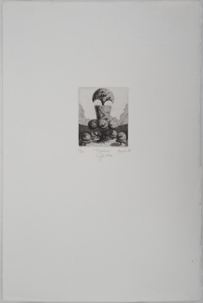 François HOUTIN : Topicure n°10, 1979 - Gravure (détail)