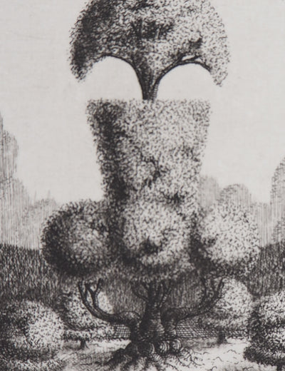 François HOUTIN : Topicure n°10, 1979 - Gravure (détail)