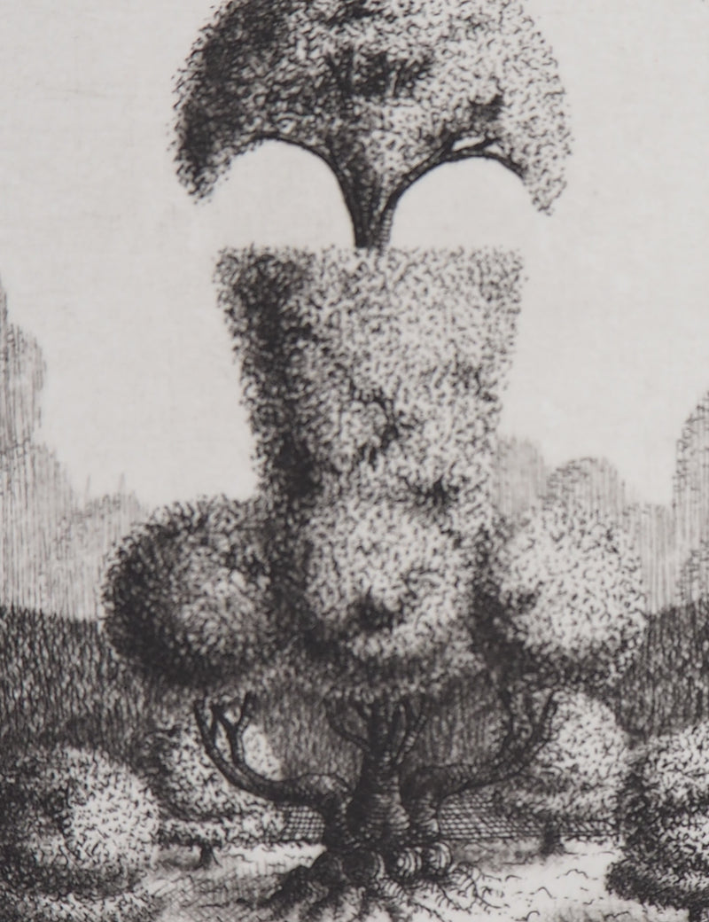 François HOUTIN : Topicure n°10, 1979 - Gravure (détail)
