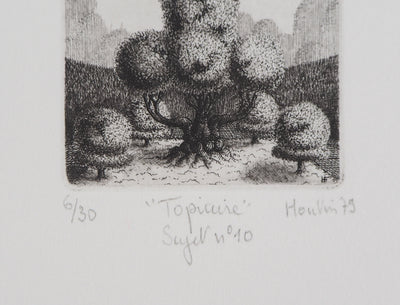 François HOUTIN : Topicure n°10, 1979 - Gravure (détail)