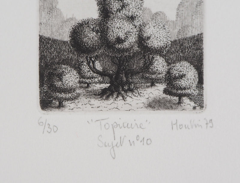 François HOUTIN : Topicure n°10, 1979 - Gravure (détail)